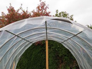 hoop house