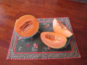 cantaloupe - napoli tuscan - iphone 016