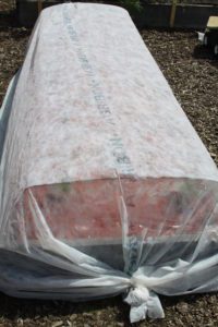 organic insect control, floating row cover