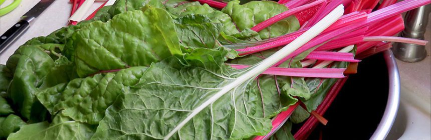 how to freeze Swiss chard