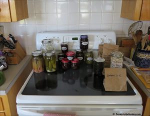 front yard vegetable gardens