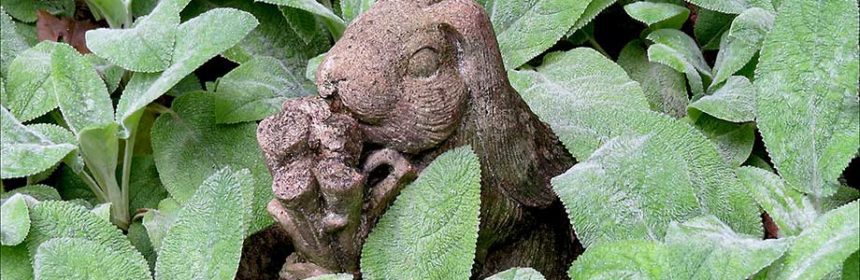 garden decor