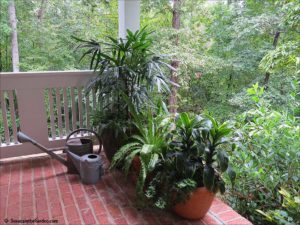 garden decor