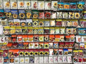 seed rack, cut-flower garden