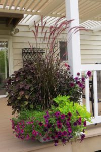 container gardening