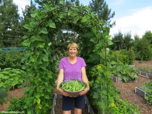 pumpkin-growing competition