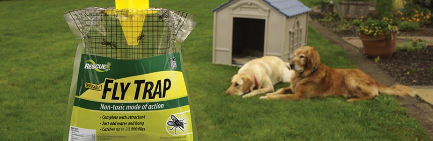 fly trap