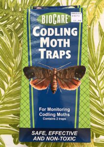 codling moth traps