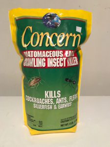 diatomaceous earth