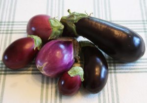 Harvest Vegetables, eggplants