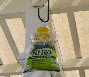 Rescue Fly Trap