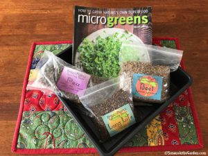 how to grow microgreens