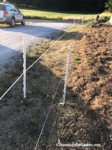 dealing with deer, deer fence