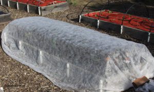 floating row cover, organic gardening