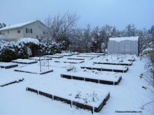 snowy garden, column