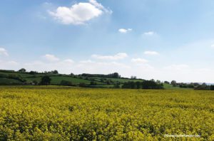 Hidcote Manor Garden