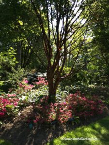 English Gardens Tour, Wisley Gardens