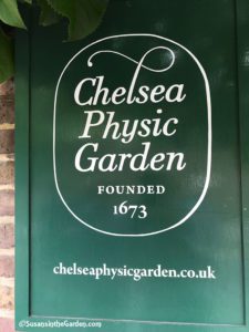 English Gardens Tour, Chelsea Physic Garden