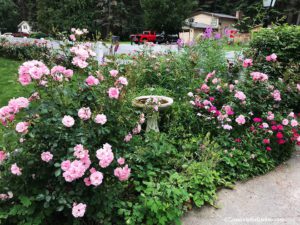 Coeur d'Alene Garden Tour