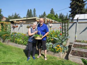 Gardener Profile Andy Smith