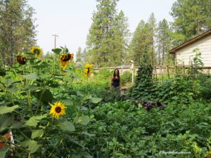 gardener profile, Felicia Heinz