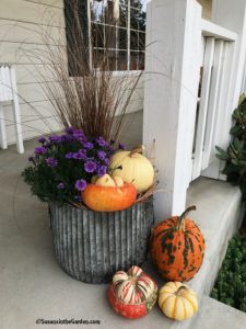 Galvanized Ribbed Barrel Planters, Gardener's Supply