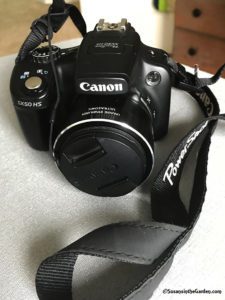 cameras, canon powershot