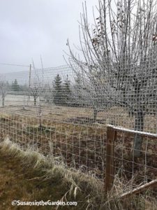 deer fencing