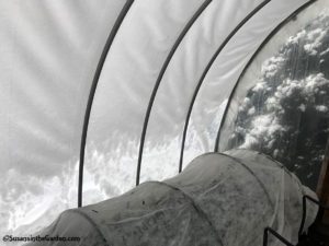 hoop house, row cover