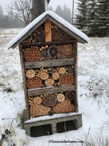 insect hotel