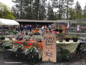 plant sales