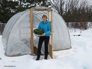 hoop house and greenhouse