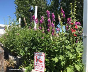 Coeur d'Alene Garden Tour 2019