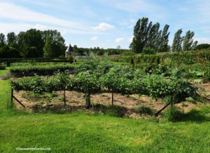 Chateau de Valmer, France tour 2019