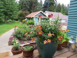 Local gardener profile, Hagney