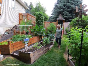 local gardener profile Laurie Jarmer