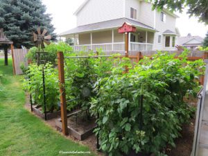 local gardener profile Laurie Jarmer