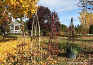 saving money in the garden, obelisk