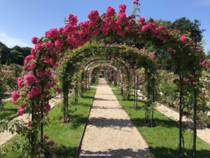 Roseraie de L'Hay Les Roses