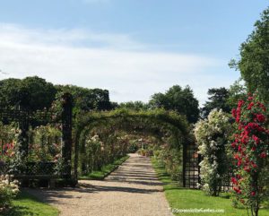 Roseraie de L'Hay Les Roses