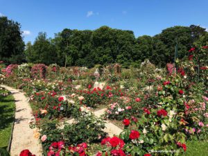 Roseraie de L'Hay Les Roses