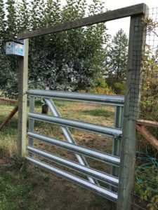 orchard gate, moose