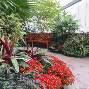 Get Your Garden Fix, Gaiser Conservatory