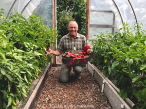 Pepper-Growing Tips, Bill Mulvihill