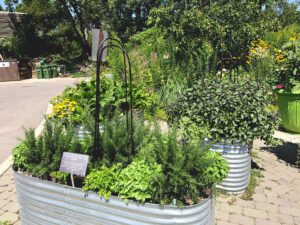 vegetables in containers
