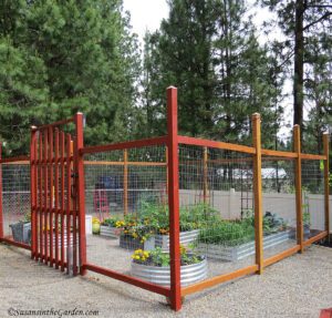 garden of Brianne Tucker