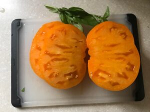 garden season review, tomato