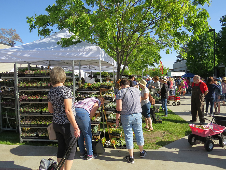 May 8 Column Garden Expo Susan S In