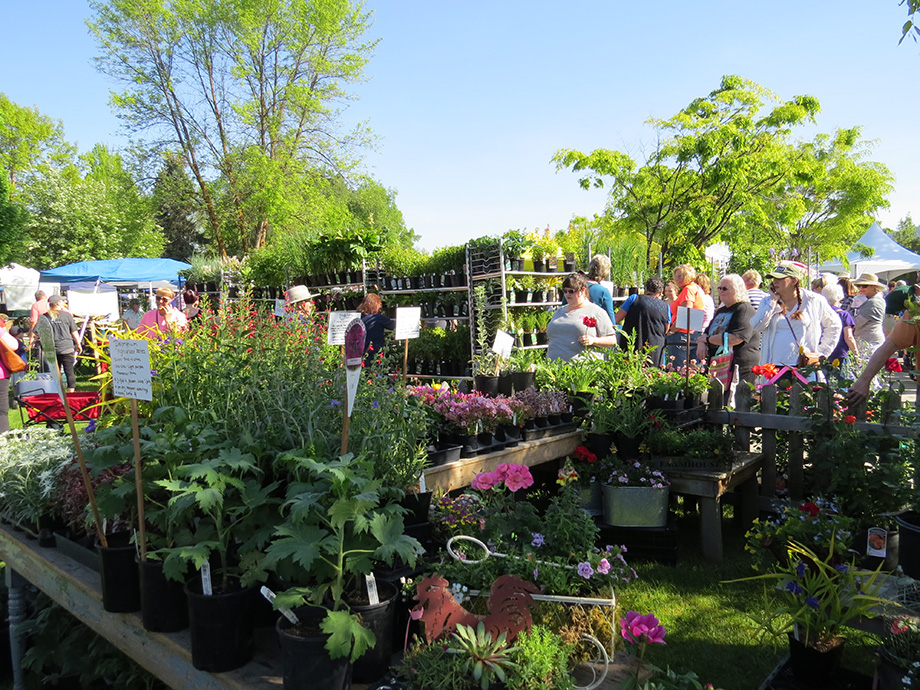 May 8 Column Garden Expo Susan S In