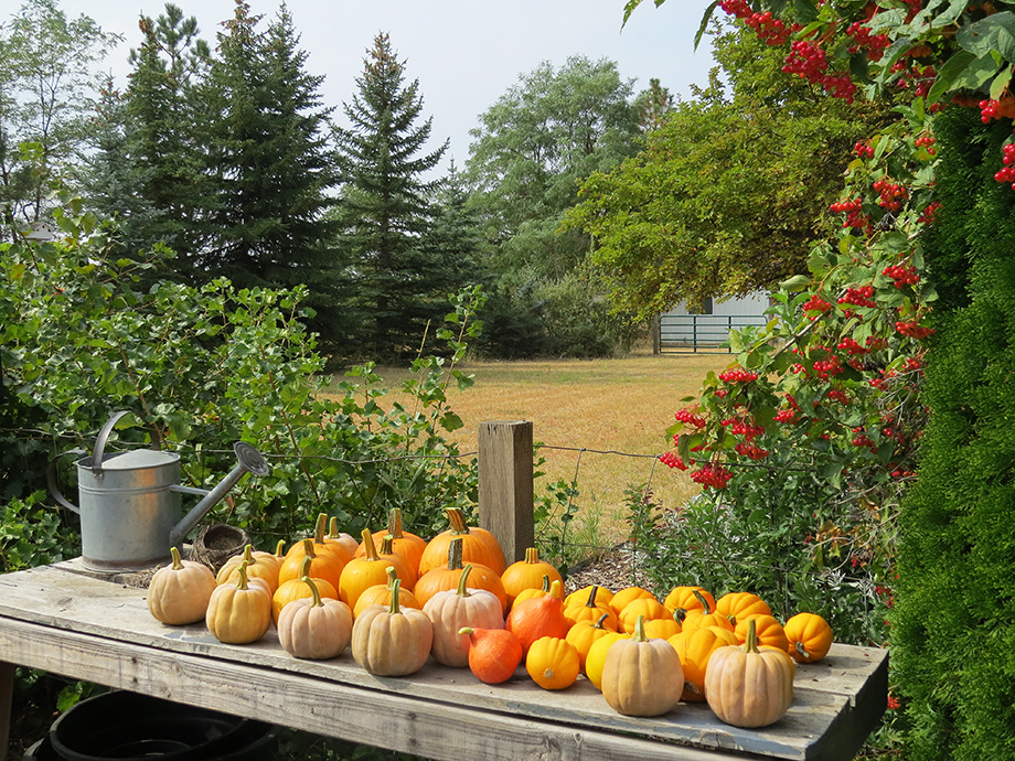 Oct. 2 Column: Garden Lessons